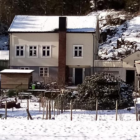 Stall Hav-Vik Farmstay Farsund Kültér fotó