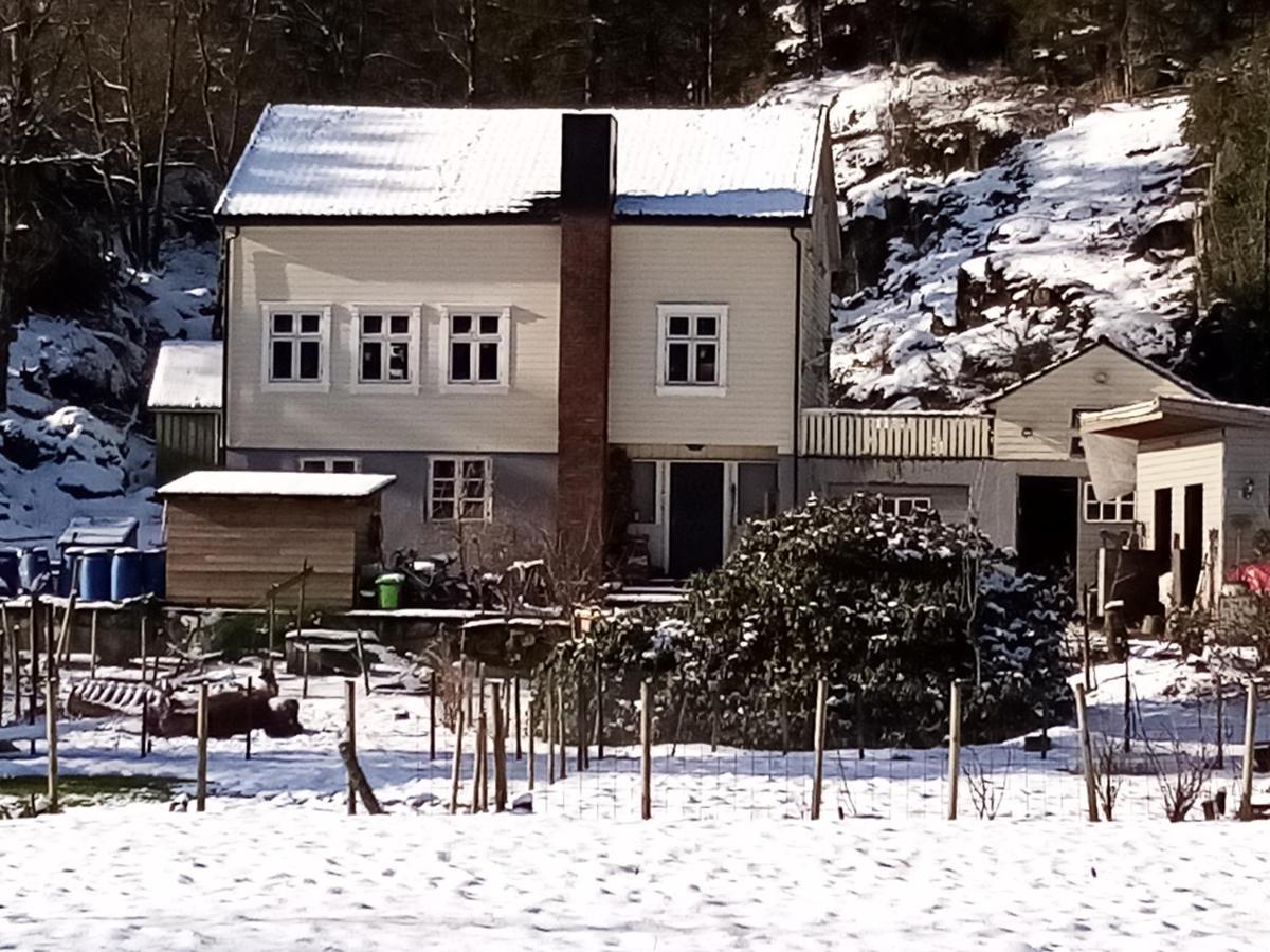 Stall Hav-Vik Farmstay Farsund Kültér fotó